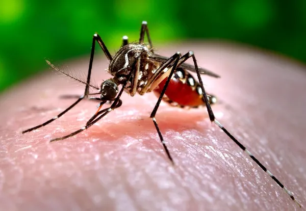 Climate change and infectious diseases