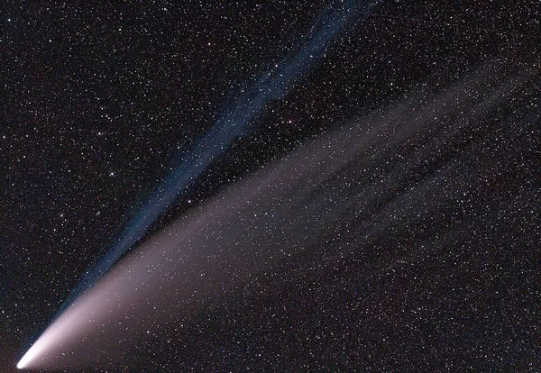 Comet NEOWISE