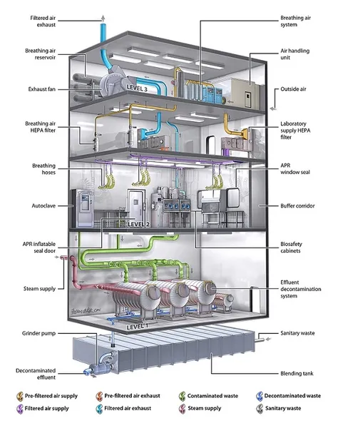 Biosafety level