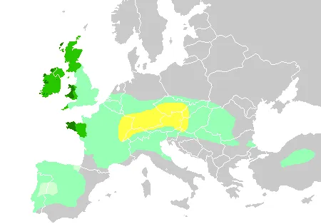 Celts