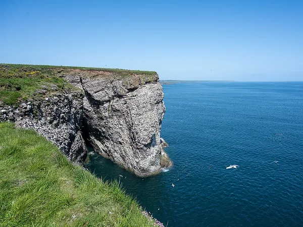 Fowlsheugh