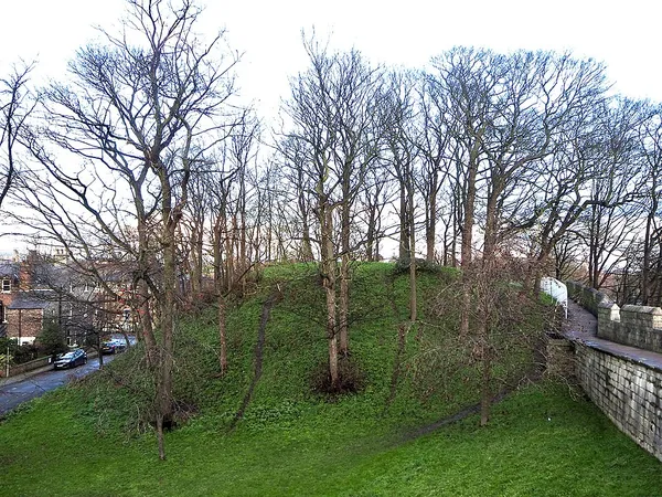 Baile Hill