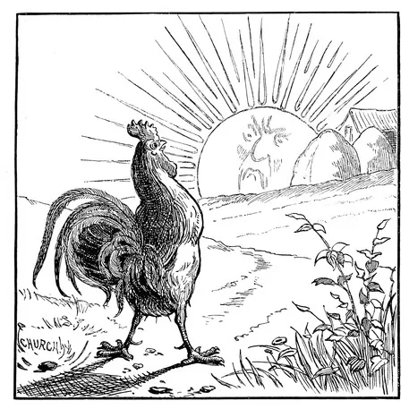 Cultural references to chickens