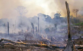 Climate change in Brazil