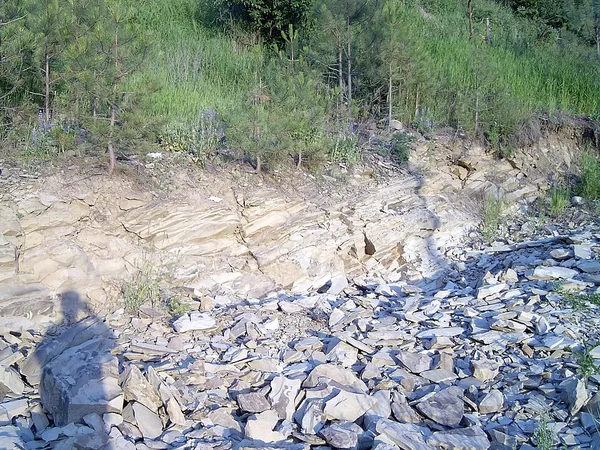 Eocene Okanagan Highlands