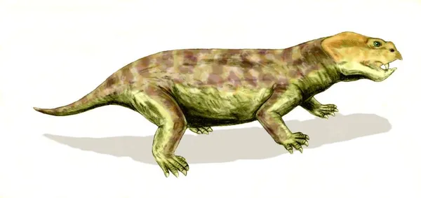 Eodicynodon Assemblage Zone