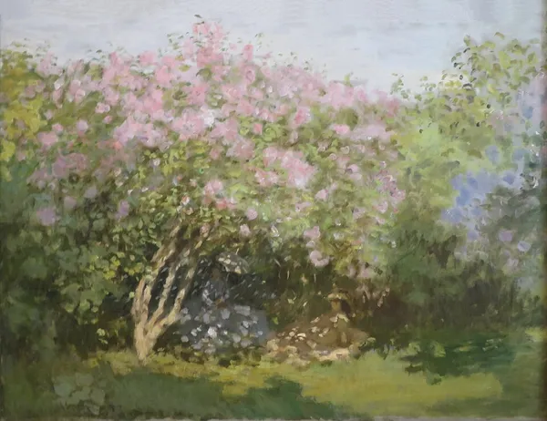 Lilac Bush in the Sun
