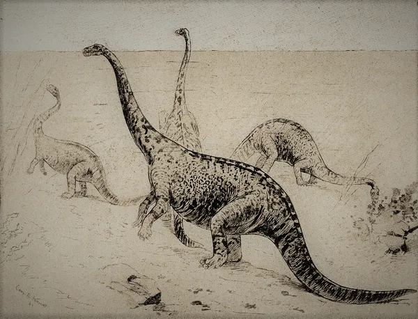 List of sauropodomorph type specimens