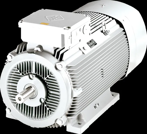 Electric motor