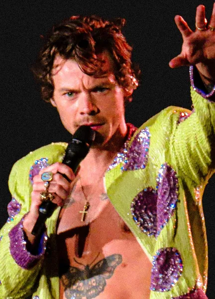 Cultural impact of Harry Styles