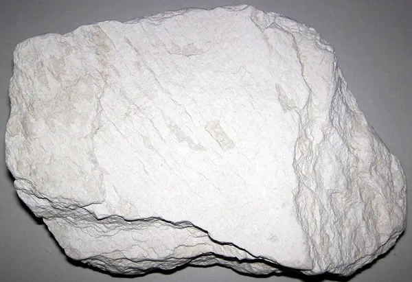 Diatomaceous earth