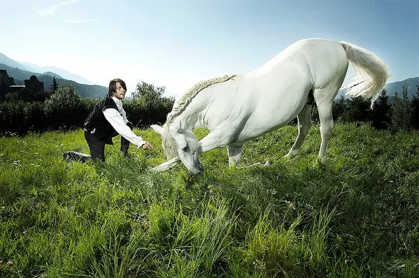 Equine intelligence