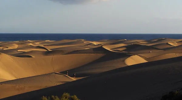 Dune