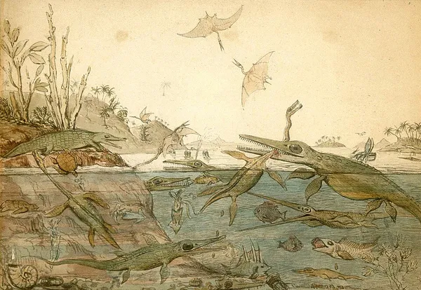 History of paleontology