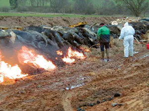 2001 United Kingdom foot-and-mouth outbreak