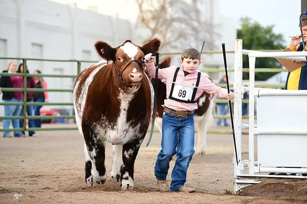 Arizona National Livestock Show