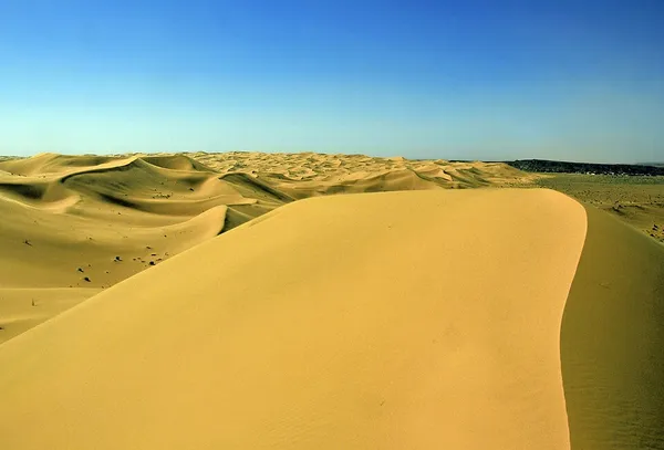 Grand Erg Occidental
