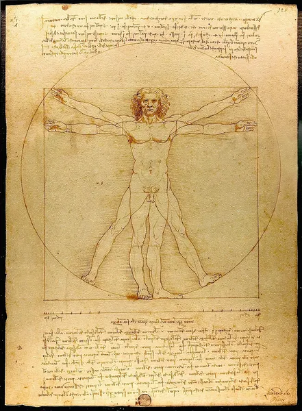 Neapolitan Renaissance