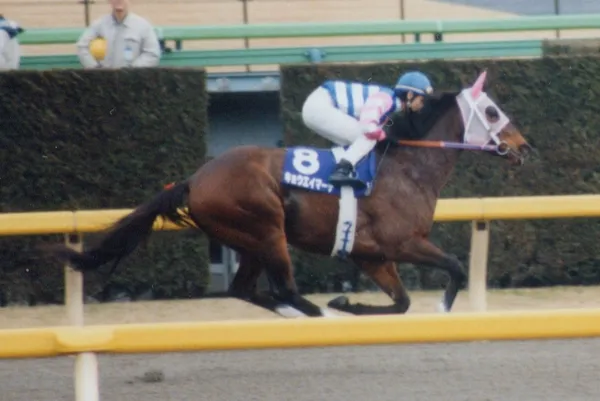 Kyoei March