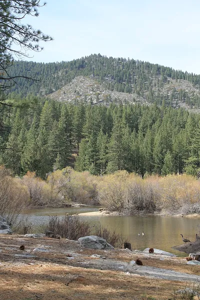 Davis Creek Regional Park