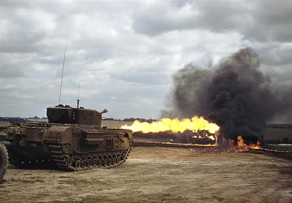 Churchill Crocodile