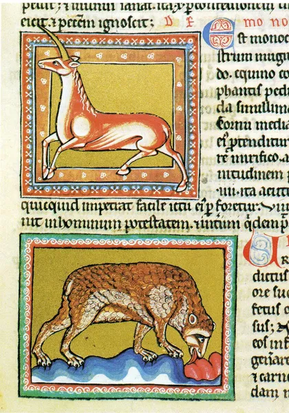 Ashmole Bestiary