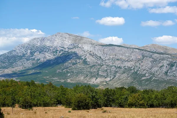 Dinara