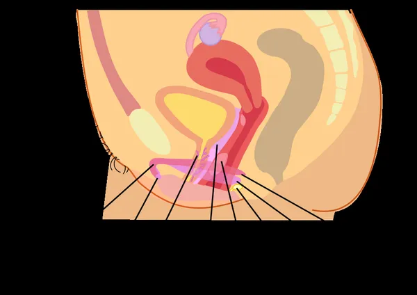 G-spot