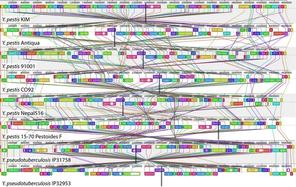 Comparative genomics