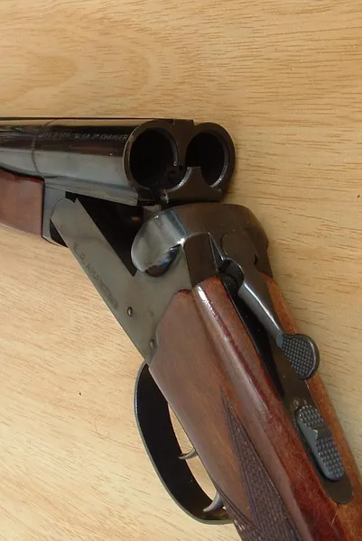 Action (firearms)