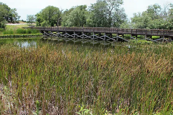 Cedar Hill State Park