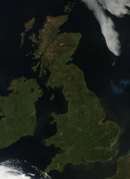 Fauna of Great Britain